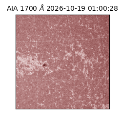 saia - 2026-10-19T01:00:28.717000