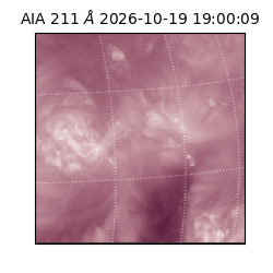 saia - 2026-10-19T19:00:09.630000