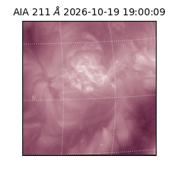 saia - 2026-10-19T19:00:09.630000