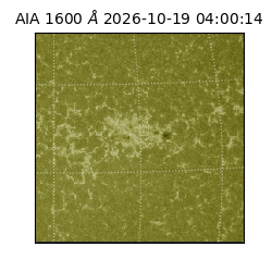 saia - 2026-10-19T04:00:14.122000