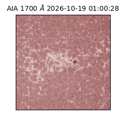 saia - 2026-10-19T01:00:28.717000