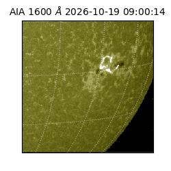 saia - 2026-10-19T09:00:14.123000