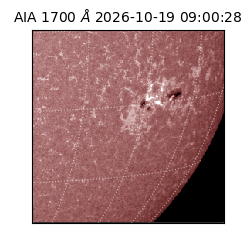 saia - 2026-10-19T09:00:28.716000