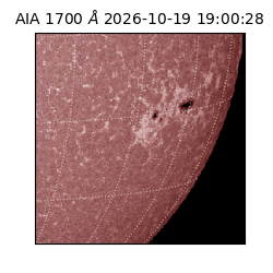 saia - 2026-10-19T19:00:28.717000