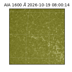 saia - 2026-10-19T08:00:14.124000