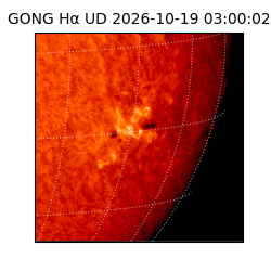 gong - 2026-10-19T03:00:02