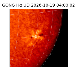 gong - 2026-10-19T04:00:02