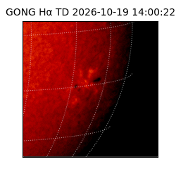 gong - 2026-10-19T14:00:22