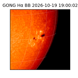 gong - 2026-10-19T19:00:02