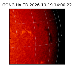 gong - 2026-10-19T14:00:22