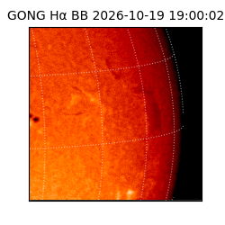 gong - 2026-10-19T19:00:02
