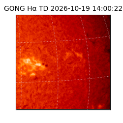 gong - 2026-10-19T14:00:22