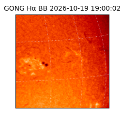 gong - 2026-10-19T19:00:02