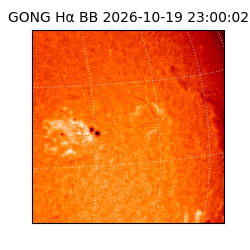 gong - 2026-10-19T23:00:02