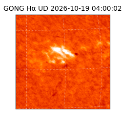 gong - 2026-10-19T04:00:02