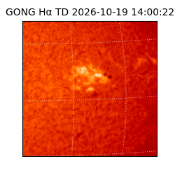 gong - 2026-10-19T14:00:22