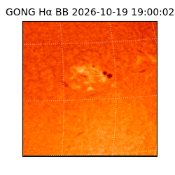 gong - 2026-10-19T19:00:02