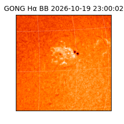 gong - 2026-10-19T23:00:02