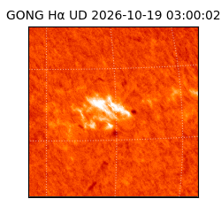 gong - 2026-10-19T03:00:02