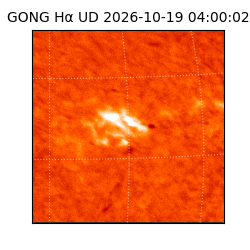 gong - 2026-10-19T04:00:02