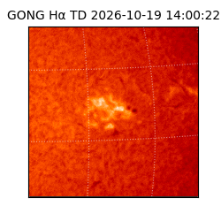 gong - 2026-10-19T14:00:22