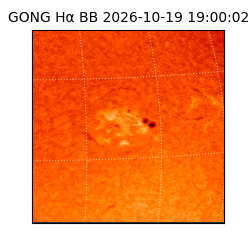 gong - 2026-10-19T19:00:02