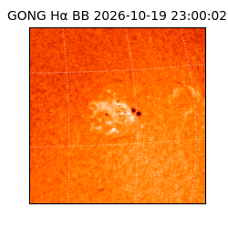 gong - 2026-10-19T23:00:02