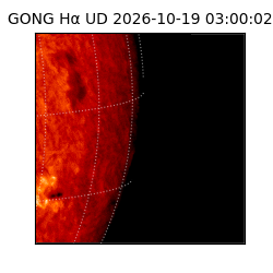 gong - 2026-10-19T03:00:02