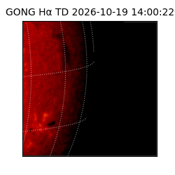 gong - 2026-10-19T14:00:22