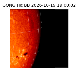 gong - 2026-10-19T19:00:02