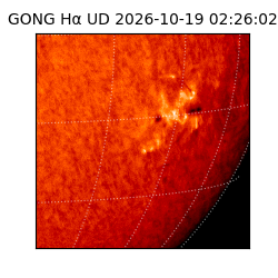 gong - 2026-10-19T02:26:02