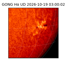 gong - 2026-10-19T03:00:02