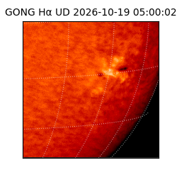 gong - 2026-10-19T05:00:02