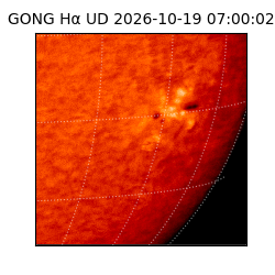 gong - 2026-10-19T07:00:02