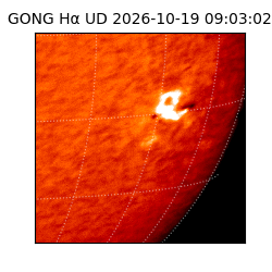 gong - 2026-10-19T09:03:02