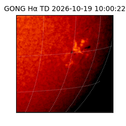 gong - 2026-10-19T10:00:22