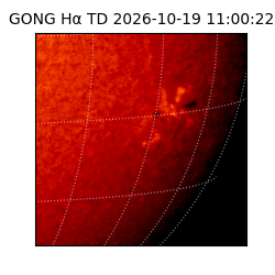 gong - 2026-10-19T11:00:22