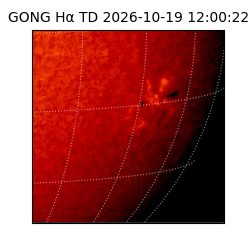 gong - 2026-10-19T12:00:22