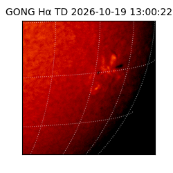gong - 2026-10-19T13:00:22