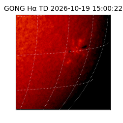 gong - 2026-10-19T15:00:22