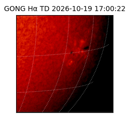 gong - 2026-10-19T17:00:22
