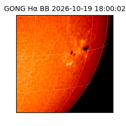 gong - 2026-10-19T18:00:02