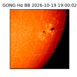 gong - 2026-10-19T19:00:02