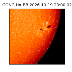 gong - 2026-10-19T23:00:02