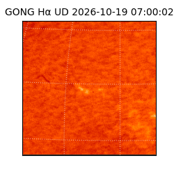 gong - 2026-10-19T07:00:02