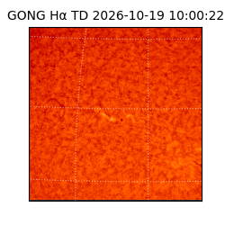 gong - 2026-10-19T10:00:22