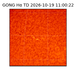 gong - 2026-10-19T11:00:22