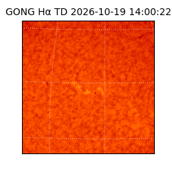 gong - 2026-10-19T14:00:22