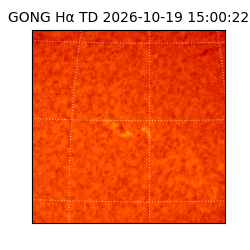 gong - 2026-10-19T15:00:22