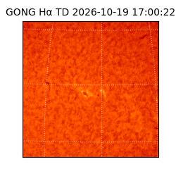 gong - 2026-10-19T17:00:22